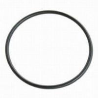 Pentek O-ring for Big Clear Housings AM151254 (Square cut o-ring)
